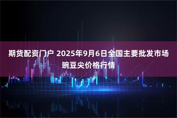 期货配资门户 2025年9月6日全国主要批发市场豌豆尖价格行情